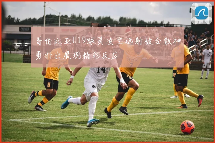 哥伦比亚U19球员凌空远射被合散神勇扑出展现精彩反应